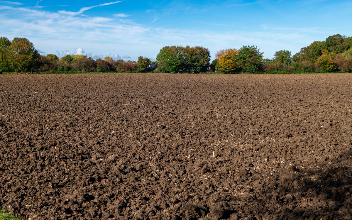 An open and level plot of land