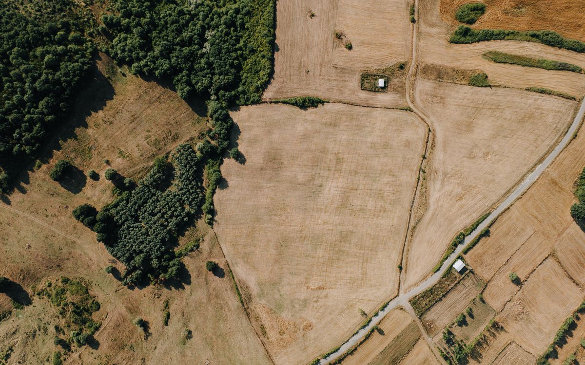 Open land beside a quiet rural road