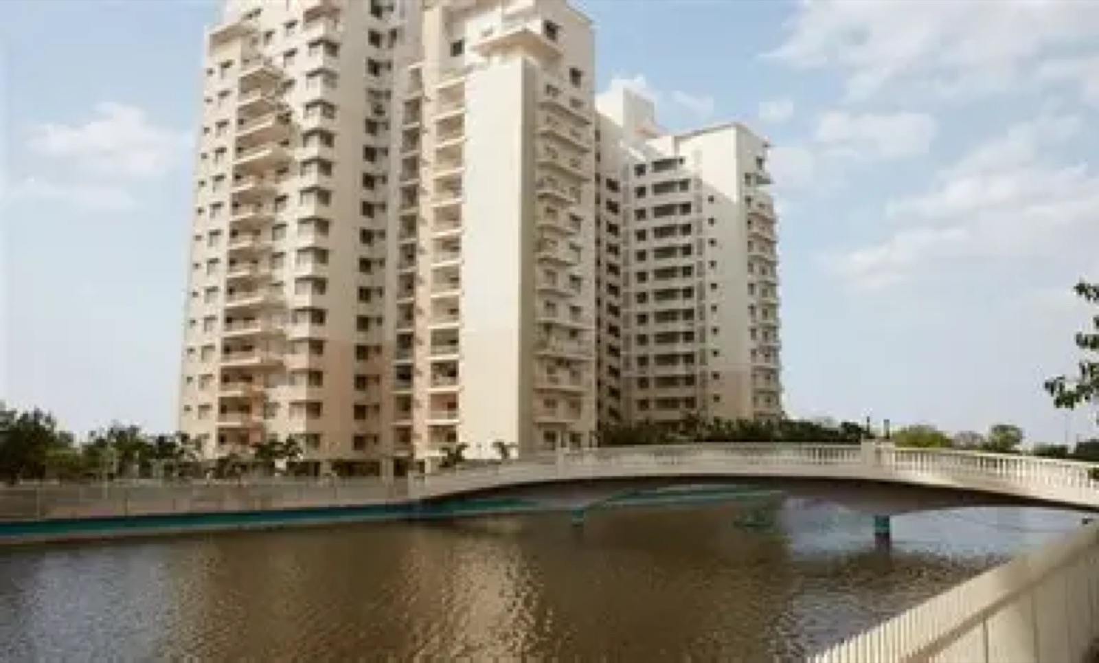 Waterlily, Shantigram — flat photo